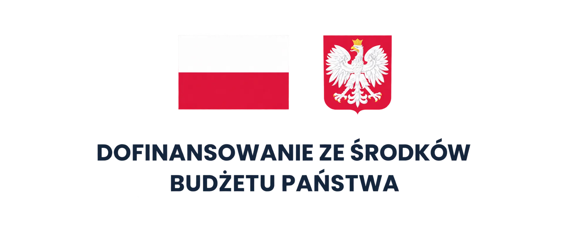Co-financed from the Polish state budget (Dofinansowanie ze środków budżetu państwa), with the Polish flag and coat of arms